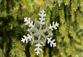 Vločka stříbrná 20 cm