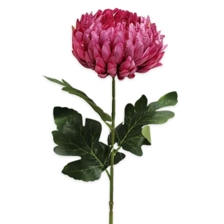Chryzanthéma plnokvětá pr.12/66cm fialová