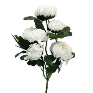 Chryzanthéma plnokvětá x5/9/60cm bílá