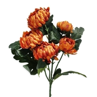 Chryzanthéma plnokvětá x5/9/60cm oranž