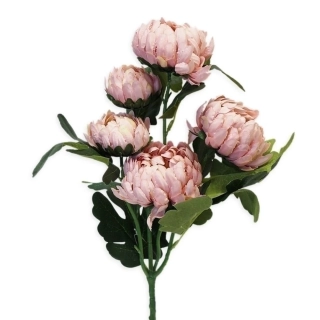 Chryzanthéma plnokvětá x5/9/60cm růžová