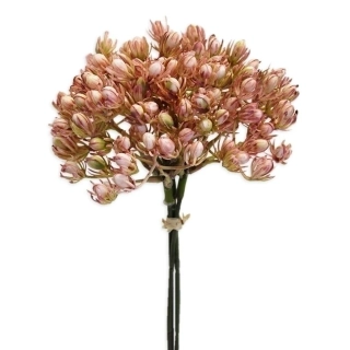 Bobule zápich pvc 30cm růžová