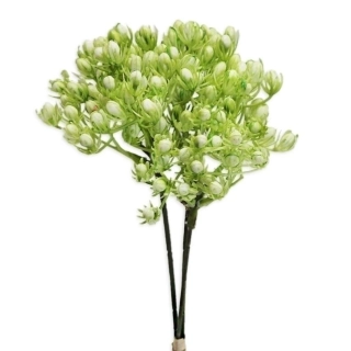 Bobule zápich pvc 30cm zelená