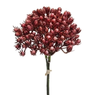 Bobule zápich pvc 30cm bordó