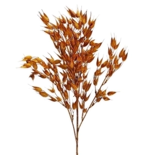 Oves pvc 70cm tm.oranž