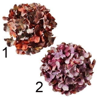 Hortenzie hlava pr.19cm mix tm.oranž/tm.růžová