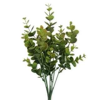 Eucalyptus keřík 32cm zelená