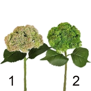 Sedum guma 29cm mix sv.zelená,zelená