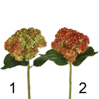 Sedum guma 29cm mix červeno-zelená