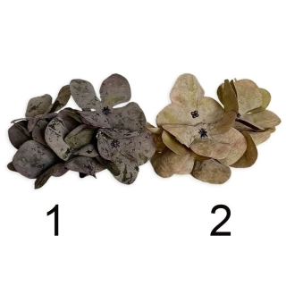 Hortenzie hlava 12ks/pr.12cm mix zelená/šedá