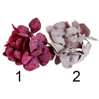 Hortenzie hlava 12ks/pr.12cm mix bordó/fialová