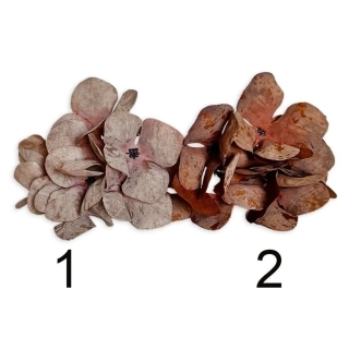 Hortenzie hlava 12ks/pr.12cm mix tm.oranž/šedooranž