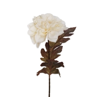 Jiřina polyester pr.15,5/60cm krém
